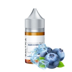 Saltica Blueberry Ice (Yaban Mersini ve Buz) Salt Likit